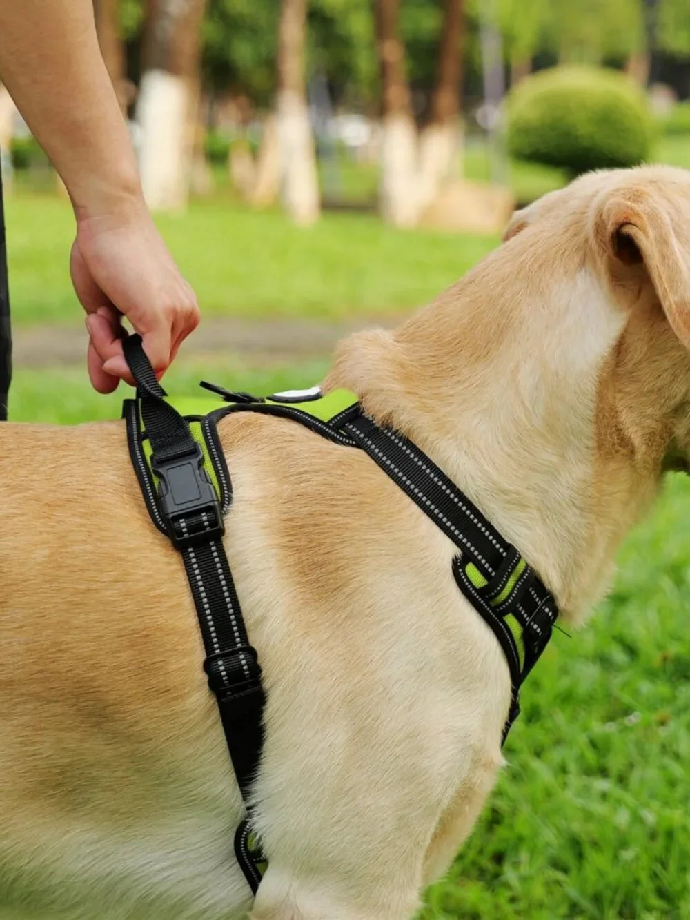 Adjustable Soft Dog Harness with Handle, Reflective Padded Collar & 6FT Leash